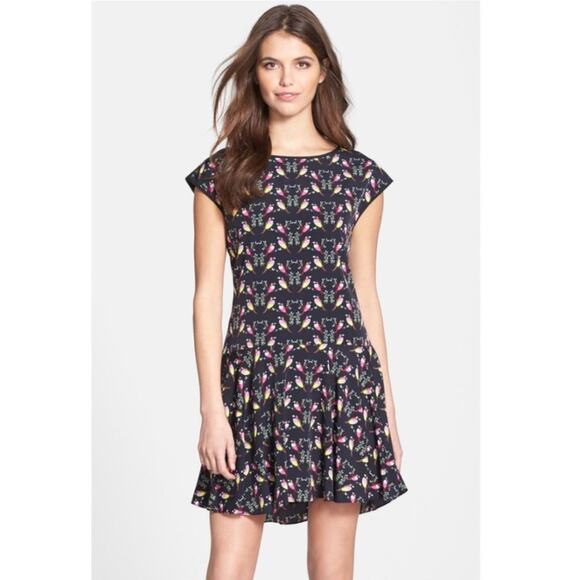 CeCe Bird Print Bitsy Loose Flare Dress EUC 12 - Picture 1 of 9
